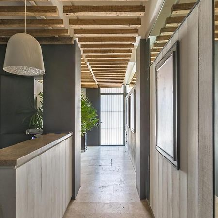 Loft Comodo, Seguro Y Con Estilo, En El Corazon Del Centro Historico メキシコシティ エクステリア 写真